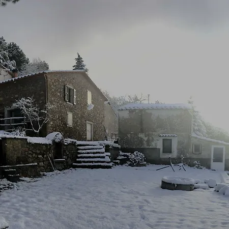 Podere Camaiano فندق مبيت وإفطار روكّاسترادا