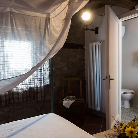 فندق مبيت وإفطار Podere Camaiano